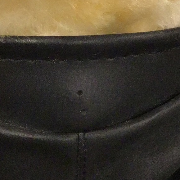 ๐
บ2001 Giorgio Beverly Hills collectors bear plush - Picture 9 of 9